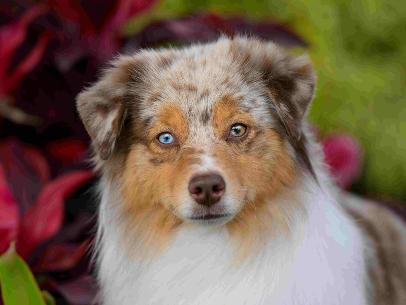 Naughty's pretty face.