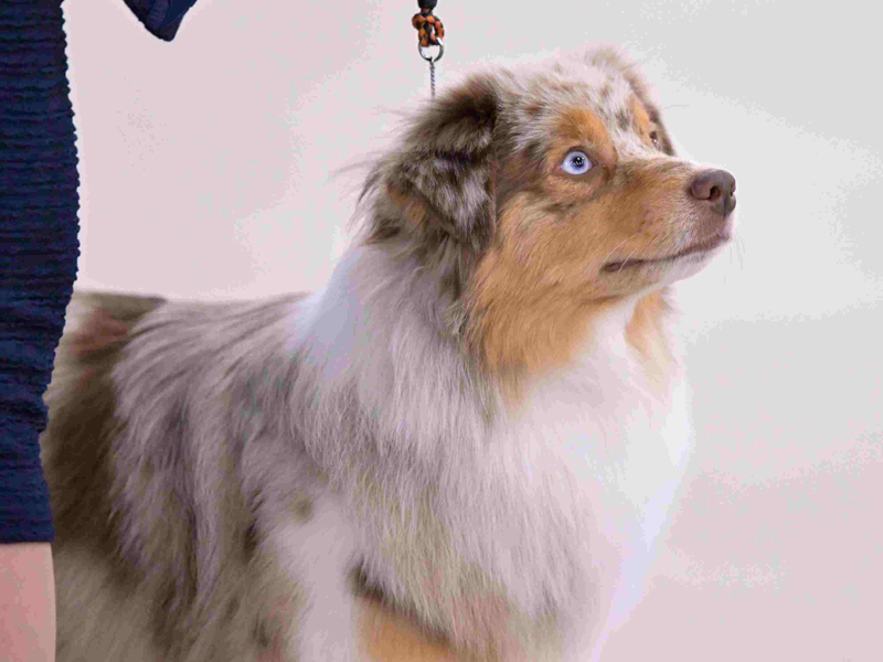 Naughty pretty head picture.