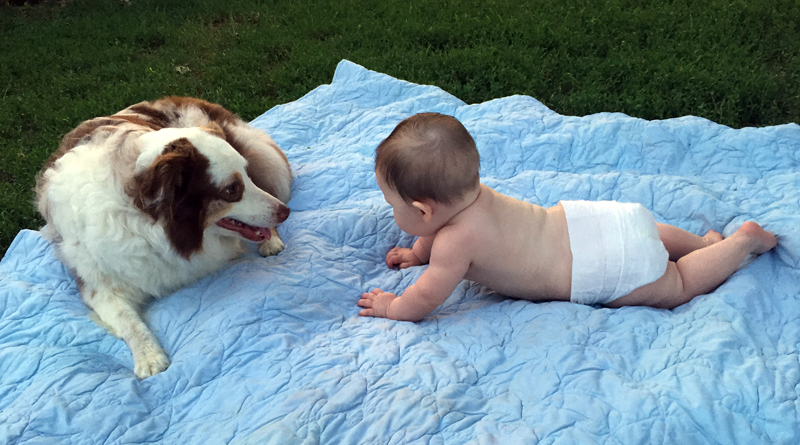 Splash on babysitting duty. Splash on babysitting duty.