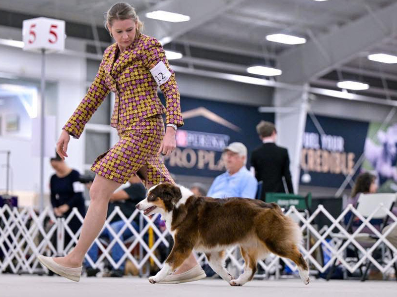 Spring showing off her beautiful gait.